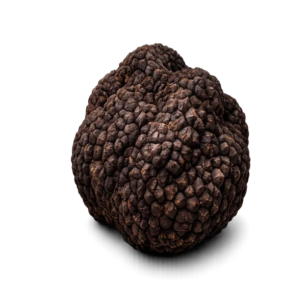 Black hooked truffle